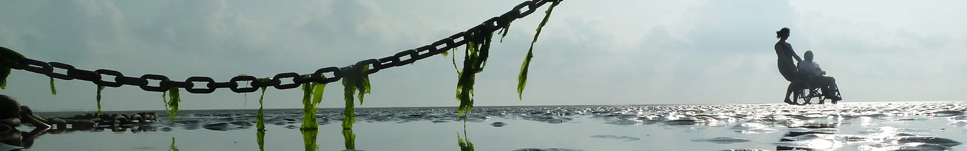 Lutgerdina waddenzee aangepaste vakantie